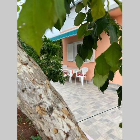 Manuel Lägenhet Korčula Exteriör bild