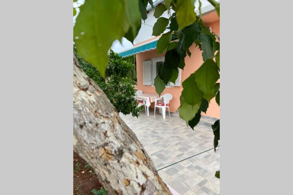 Manuel Lägenhet Korčula Exteriör bild